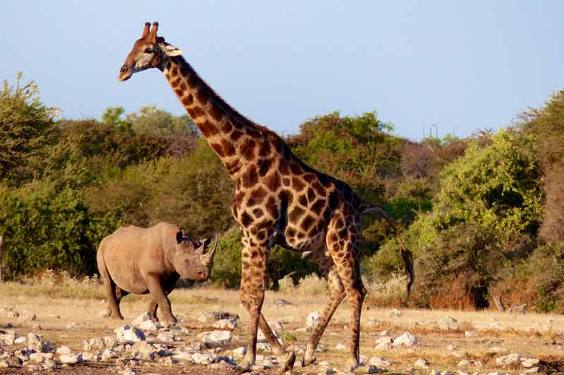 Namibia